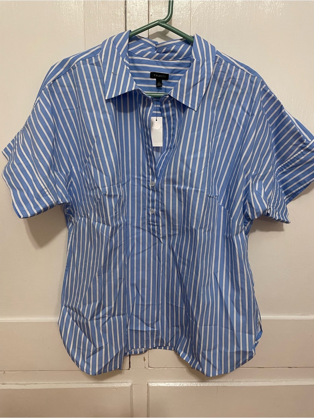 Talbots Blue and White Stripe Short Sleeve Button-Down